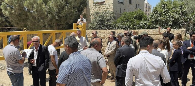 ianai silberstein tweet media