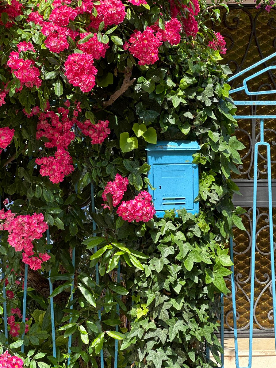pipapipia's tweet photo. A mailbox among the flowers. https://t.co/zlyFI4eeue