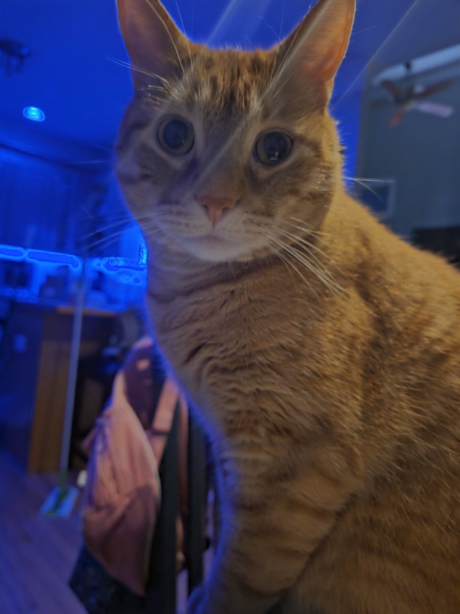 Taest33's tweet photo. Rocket sprocket https://t.co/TuKmAEqoel