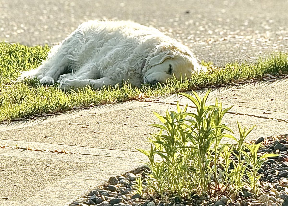 The old girl has her slow roll on going into the weekend…