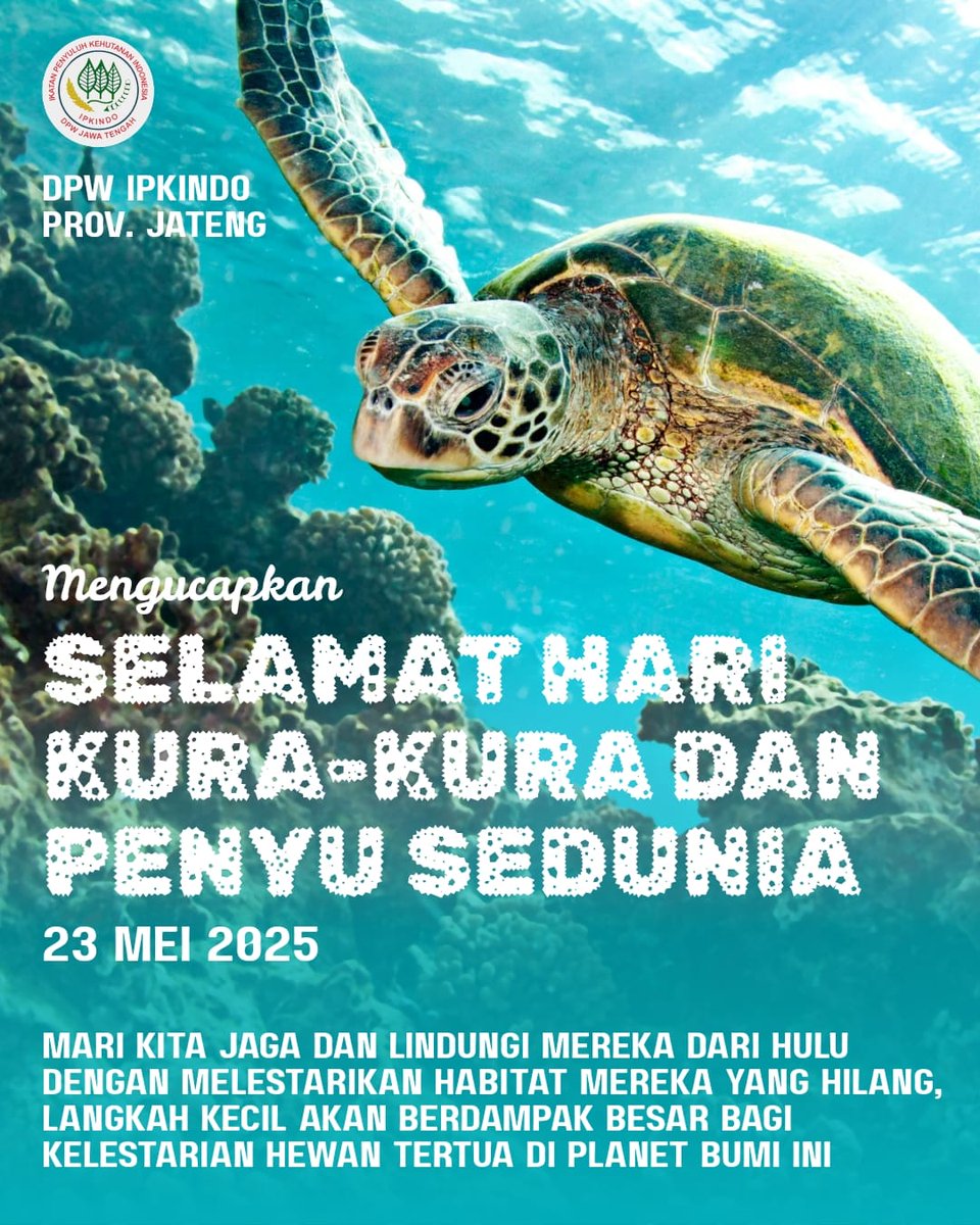 ipkindo_jateng's tweet photo. Selamat Hari Kura-Kura dan Penyu Sedunia (23 Mei)
Mari Jaga dan Lindungi Habitat Mereka Mulai dari Hulu dengan Melestarikan Hutan dan Ekosistemnya
#WorldTurtleDay https://t.co/XiCP5Prjho