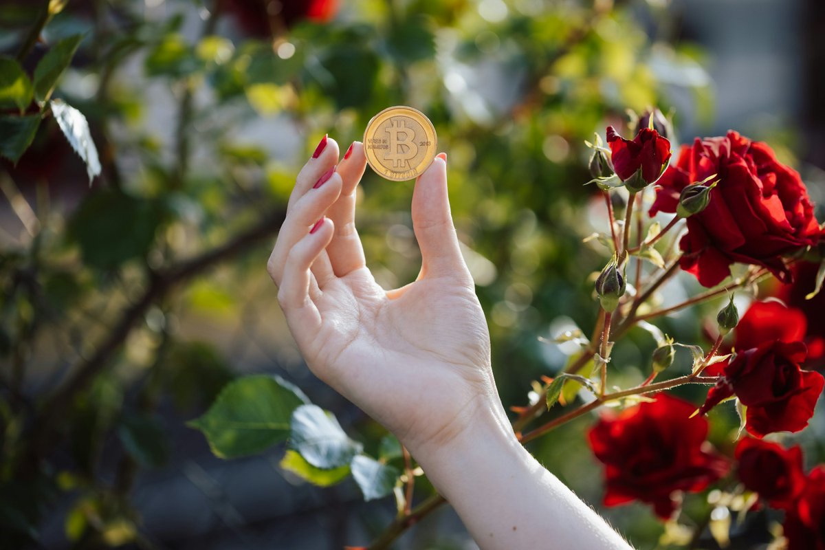 mishely7's tweet photo. "Excited for @giverep! A game-changer in community giving. Let’s make an impact together! ����" @GiveRep @giverep @ATTN @Airdrop https://t.co/wbiKbNn9Ty