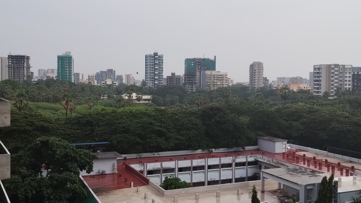 ravilorekar's tweet photo. Greenery in Mumbai 
टॉवर के पीछे लुप्त होने वाले, 
मुंबई के पेड पोधे, कुछ हि जगह नजर आ रहे है येह नजारे! https://t.co/BUBVSQfo3E