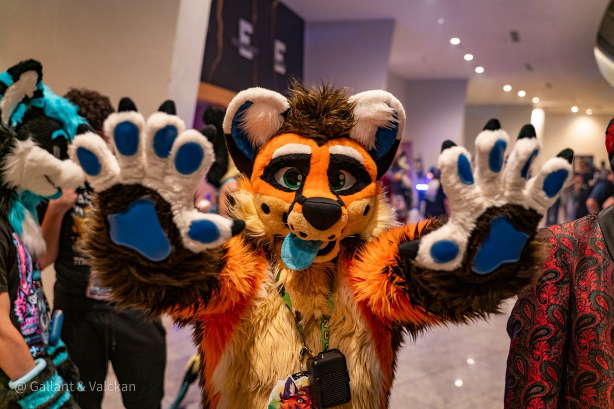 Archie π FWA (@archiefox_) on Twitter photo POV: Me when I GET you
πΈ: <a href="/GallantWicker/">Gallant @ AC</a> & <a href="/Valckan/">Valckan π AC</a>
πͺ‘: <a href="/TheKarelia/">TheKareliaFursuits π Dokomi, EF29, Furnavia.</a>
#FursuitsFriday #FursuitsEveryday #FWA25 POV: Me when I GET you
πΈ: <a href="/GallantWicker/">Gallant @ AC</a> & <a href="/Valckan/">Valckan π AC</a>
πͺ‘: <a href="/TheKarelia/">TheKareliaFursuits π Dokomi, EF29, Furnavia.</a>
#FursuitsFriday #FursuitsEveryday #FWA25