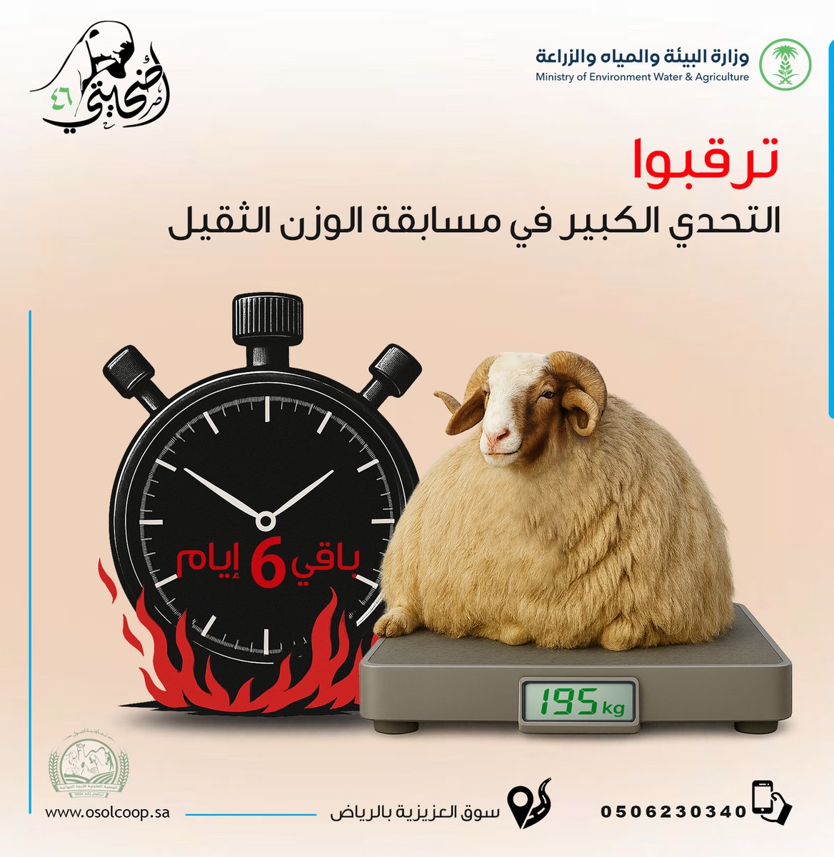 تعاونية أصول tweet media