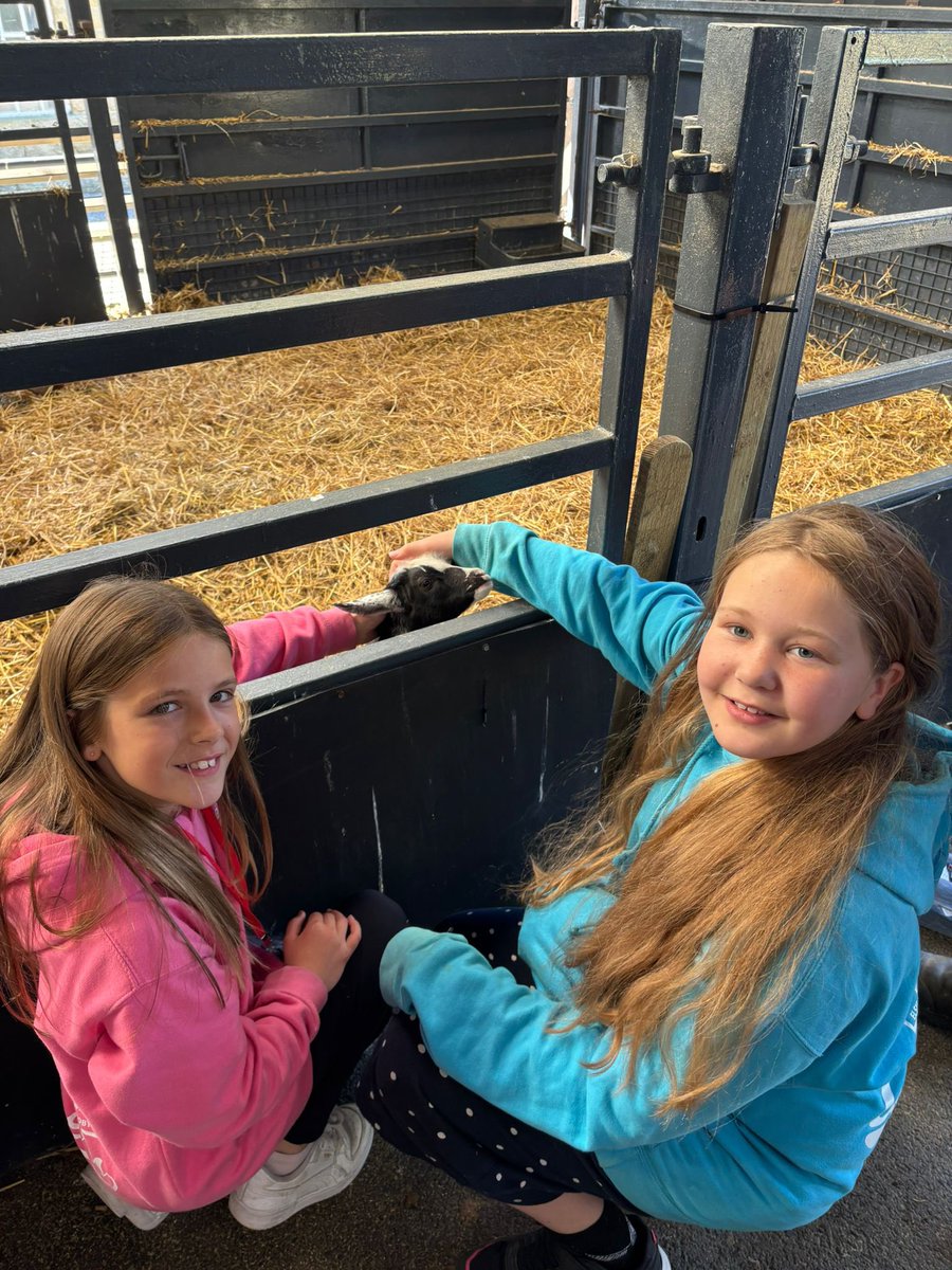 Long Benn Academy tweet media