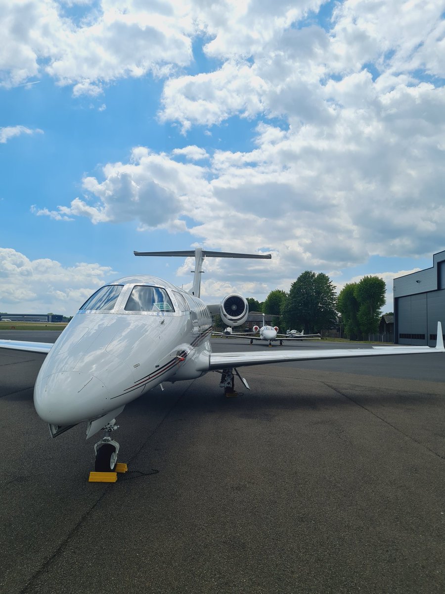 Cyon 🔜 NFC tweet media