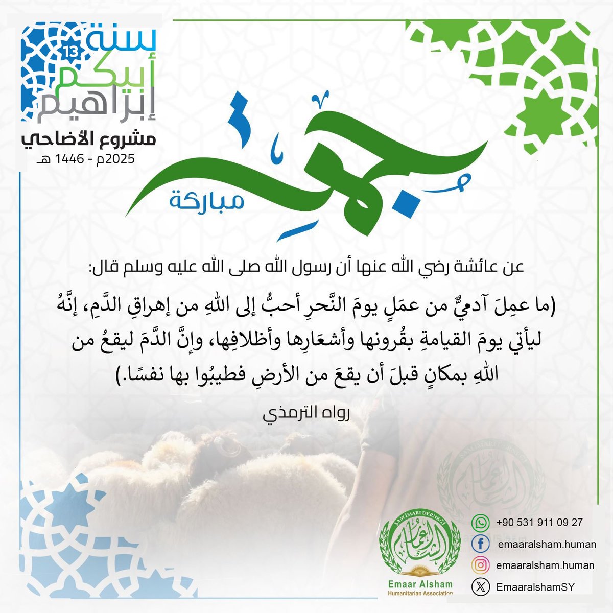 EmaaralshamSY's tweet photo. #جمعة_مباركة
#سنة_أبيكم_إبراهيم 13 #مشروع_الأضاحي
2025- 1446هـ
الخروف: 350$ وزن 55كغ
العجل: 2200$ وزن 550 كغ
سبع العجل: 315$ وزن 79كغ https://t.co/9rqYwyzYzK