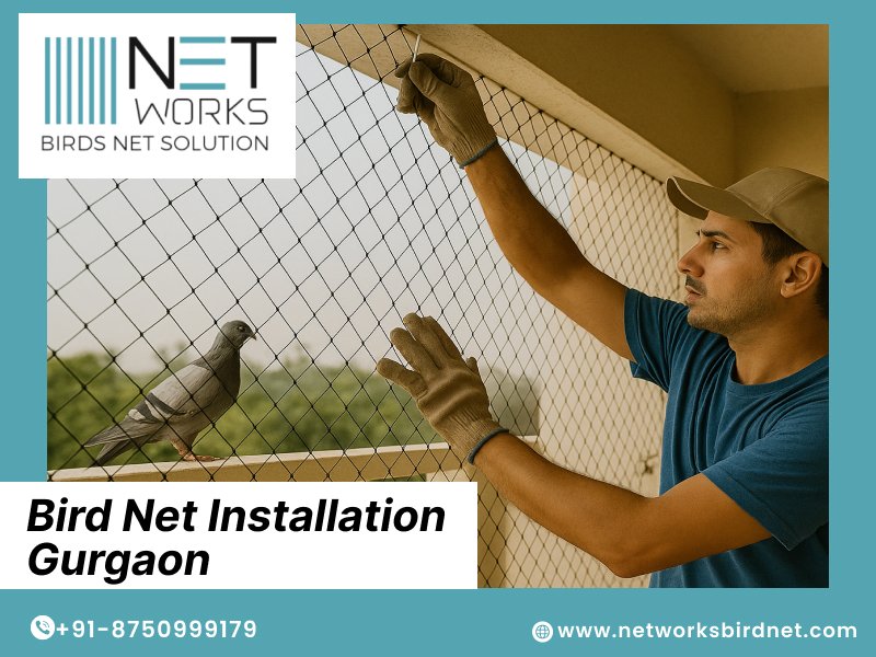 networksbirdnet's tweet image. Networks Bird Net provides professional and durable bird control solutions for homes, balconies, offices, and industrial areas. 
Contact Networks Bird Net today for safe and affordable bird netting services in Gurgaon!
Visit: posts.gle/qUV1ij
#BirdNetInstallation #Birdnet