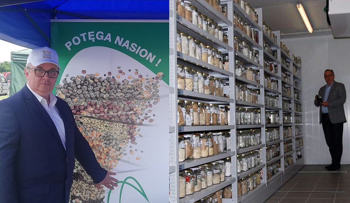 CzemborH's tweet photo. 🧬🧩🌾💻👨🎓📲👨🌾👍🍞📈
➡️On picture - long-term #coldroom storage for preservation of #barley #seed samples.
➡️FAO standards - Gene Bank Management !
#polishgenebank #genebank #agrobiodiversity #plantbreeding #germplasm
#Agrobank #Gospostrateg #NCBR
#MRiRW #KCRZG #IHAR #Radzików https://t.co/lpVFXr2WjR