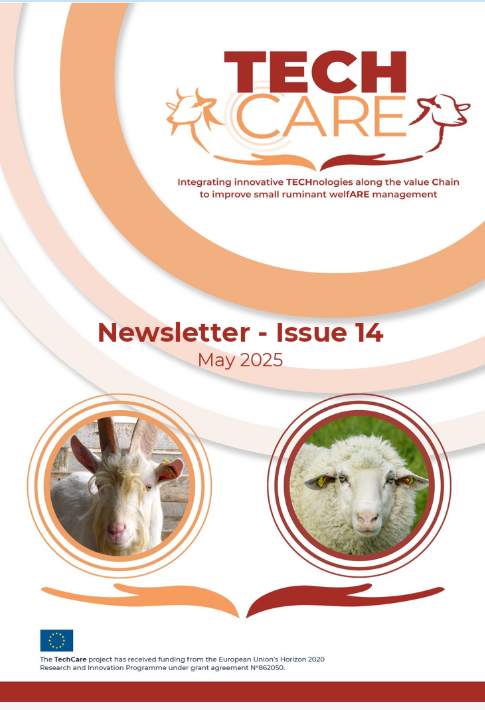 The 14th issue of TechCare newsletter is available!

📰Enjoy your reading here 👉 techcare-project.eu/wp-content/upl…

#Newsletter #H2020 #EUprojects