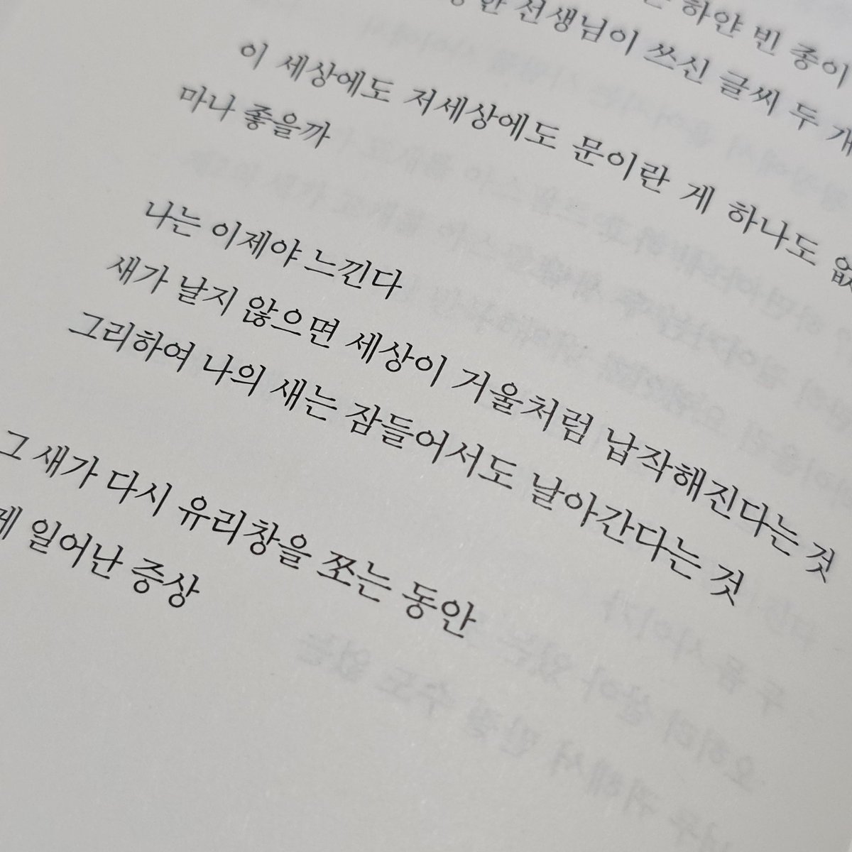 t21escope's tweet photo. 오늘 도영의 방 기다리면서 책 한 권을 다 읽을 수 있었어 https://t.co/Kdi2Qaaxqt