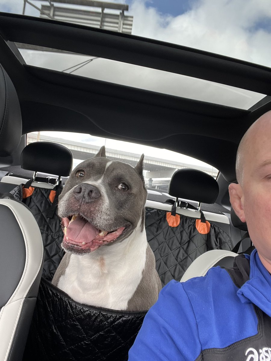 Boomer Fechko tweet media