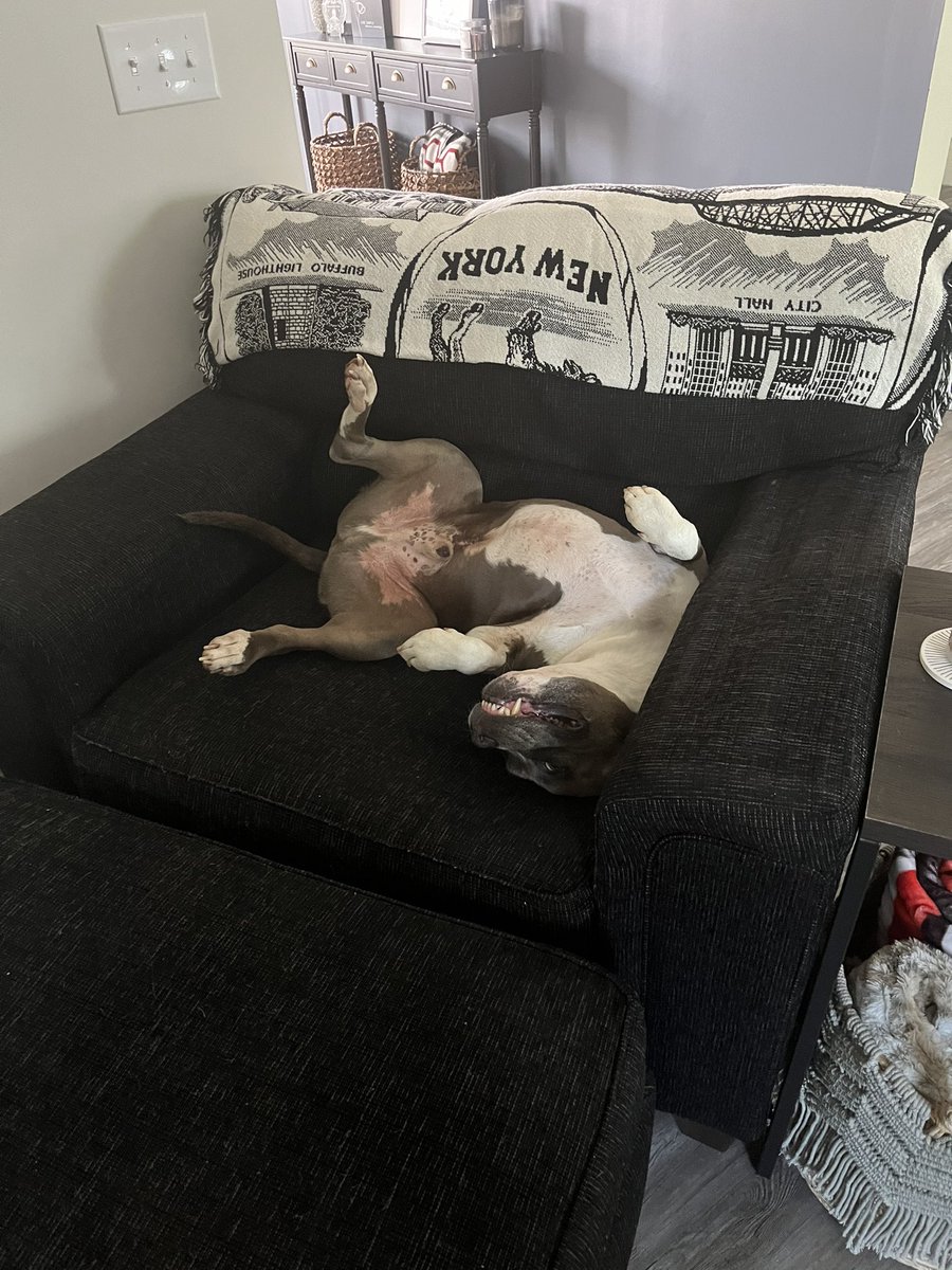 Boomer Fechko tweet media