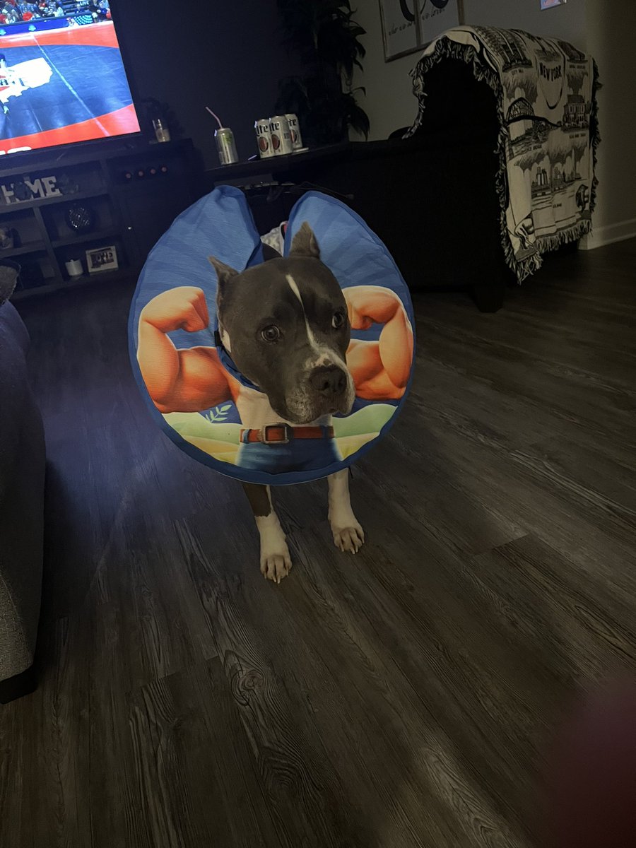 Boomer Fechko tweet media