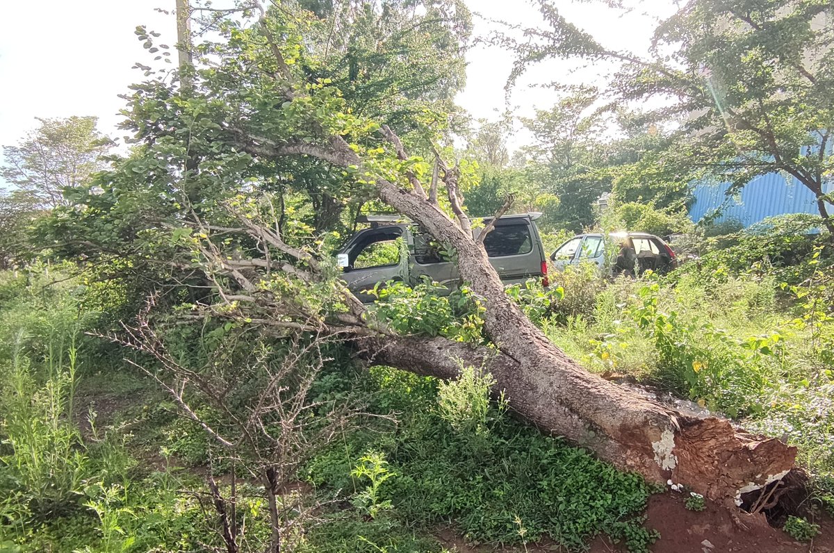 Tushar Chandra tweet media