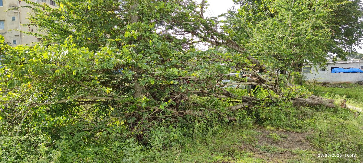 Tushar Chandra tweet media