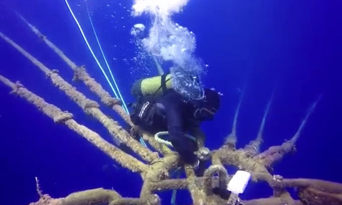 Gracias al trabajo del Coordinador Estatal de Acuicultura y Buceo Profesional, el Congreso aprueba la #PNL de <a href="/sumar/">Sumar</a> para mejorar la jubilación de buceadores profesionales y estudiar la de instructores de buceo recreativo. <a href="/desdelamoncloa/">La Moncloa</a> 

🔴⚫️
actualidadmp.com/el-congreso-ap…