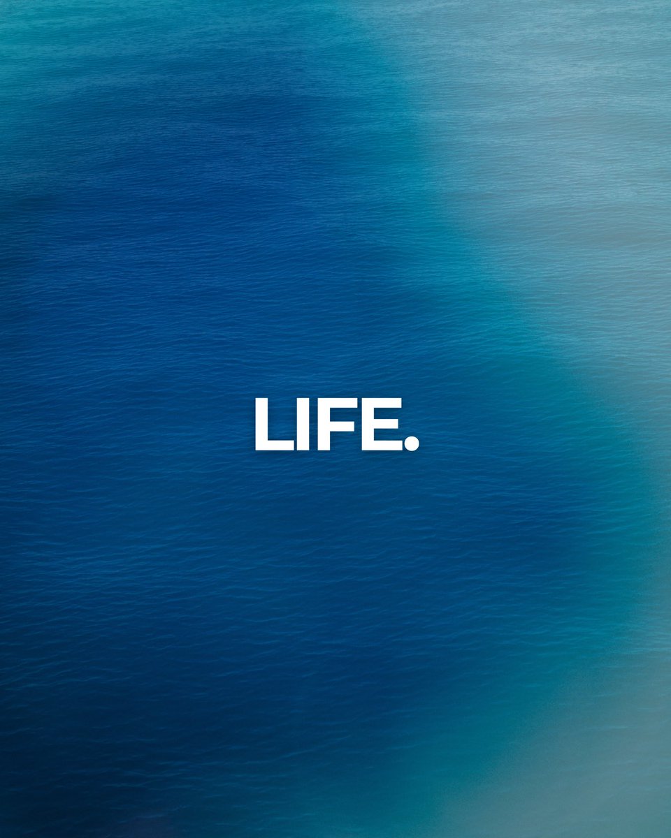 Jessika Roswall tweet media