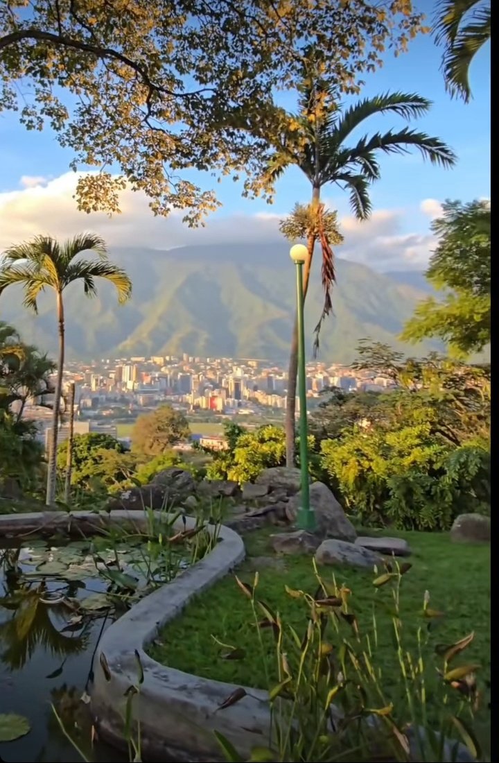 Feliz y exitoso viernes para todos.
Caracas Venezuela 🇻🇪