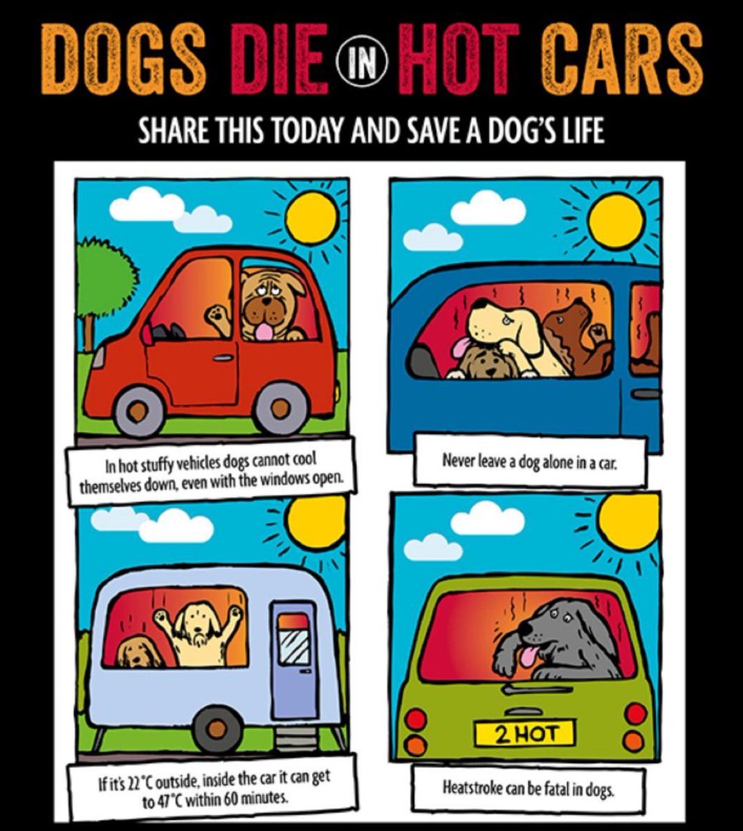 Please be careful during the hot weather and remember the dangers of leaving dogs in cars.