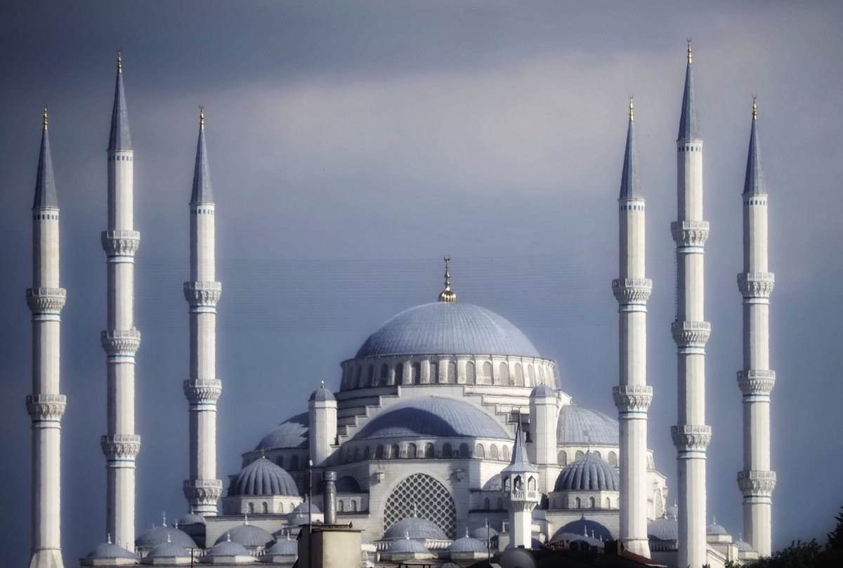 Richard Goodwin tweet media