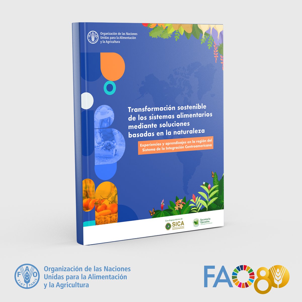 FAO Mesoamérica (@faomesoamerica) on Twitter photo 📣#YaDisponible | Transformación sostenible de los sistemas alimentarios mediante soluciones basadas en la naturaleza.
Experiencias y aprendizajes en la región del Sistema de la Integración Centroamericana.
Elaborada por <a href="/FAO/">Food and Agriculture Organization</a>, <a href="/sg_sica/">SICA - Sistema de la Integración Centroamericana</a> y <a href="/SE_CAC/">SE-CAC</a>
🔗doi.org/10.4060/cd4948… 📣#YaDisponible | Transformación sostenible de los sistemas alimentarios mediante soluciones basadas en la naturaleza.
Experiencias y aprendizajes en la región del Sistema de la Integración Centroamericana.
Elaborada por <a href="/FAO/">Food and Agriculture Organization</a>, <a href="/sg_sica/">SICA - Sistema de la Integración Centroamericana</a> y <a href="/SE_CAC/">SE-CAC</a>
🔗doi.org/10.4060/cd4948…