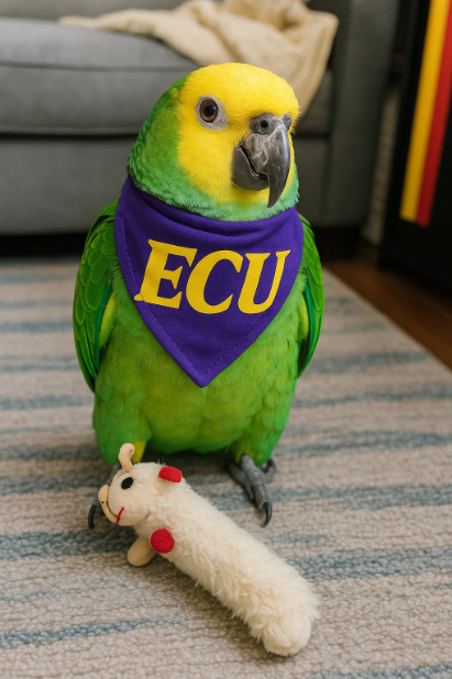 take_the_island's tweet image. Did someone say goodboy friday? 🦜

#goodboyfriday