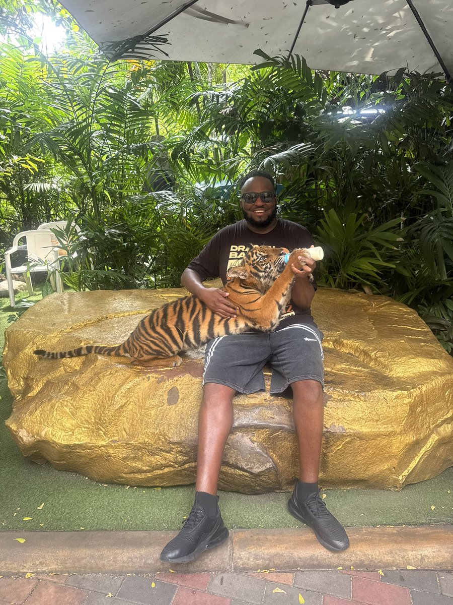 chilly673's tweet image. Big cat laflare 🇹🇭