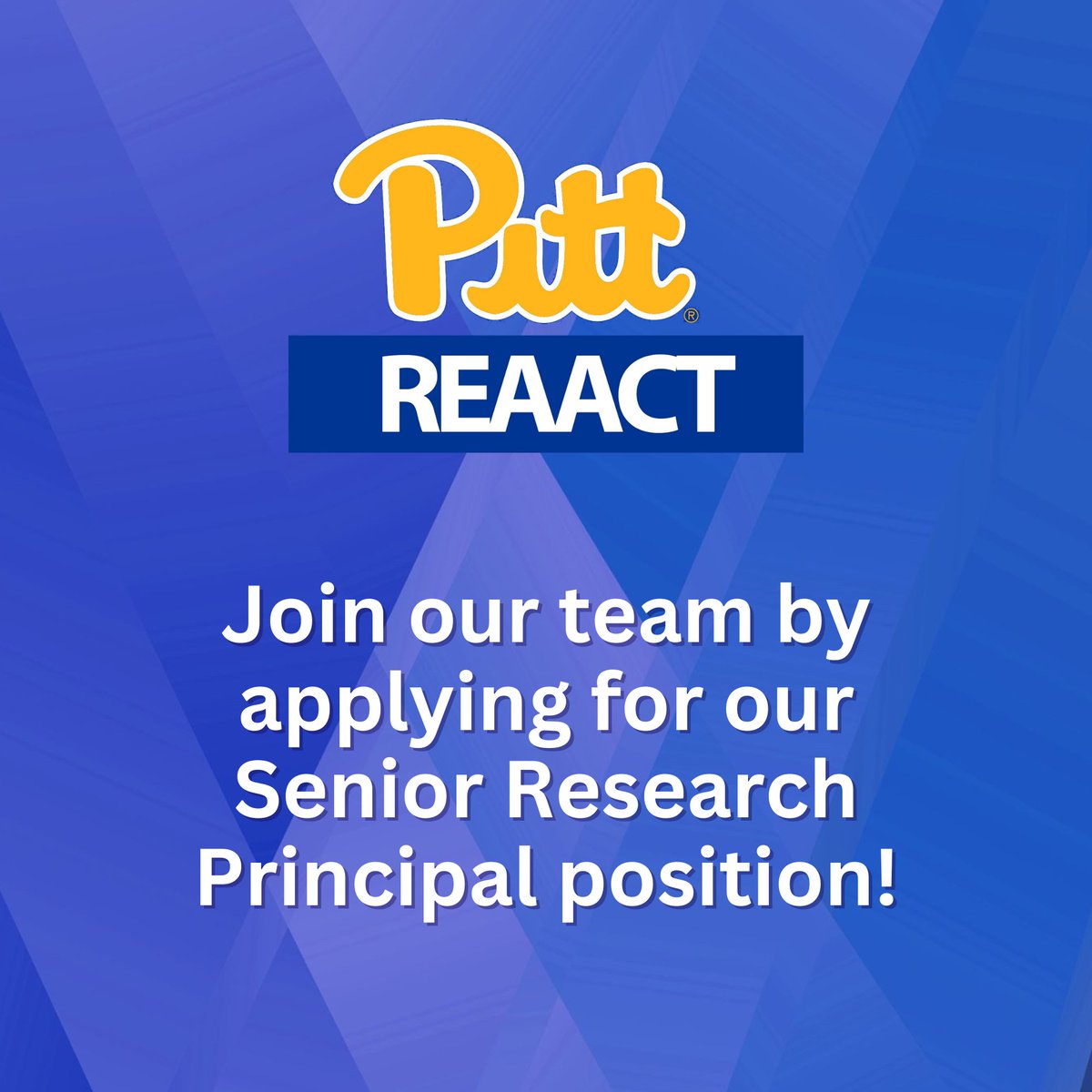 PittREAACT's tweet photo. Join our team by applying for our Senior Research Principal position today! More info here: https://t.co/4f1AiRNUc1 https://t.co/ykCoMfB0KN