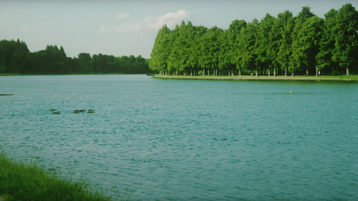 broken_kangaroo's tweet photo. 万有引力(2025)  
cinematographic  

dir. Halle https://t.co/zwMJzsfMez
