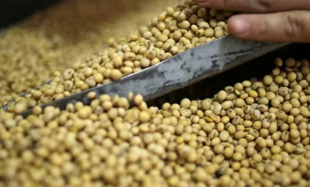 📊La soja suma su 4ª suba consecutiva 🌱 y se pagó hasta $315.000. El maíz, mixto, y el trigo cayó tras el fin de la ola de cobertura de posiciones vendidas 📉. AGROFY NEWS
ℹ️👉 t.ly/s1hTg