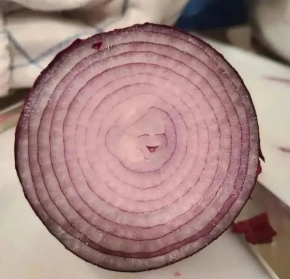 Buen día, si cortamos una cebolla al medio, a veces es posible verla como ríe mientras nos hace llorar.