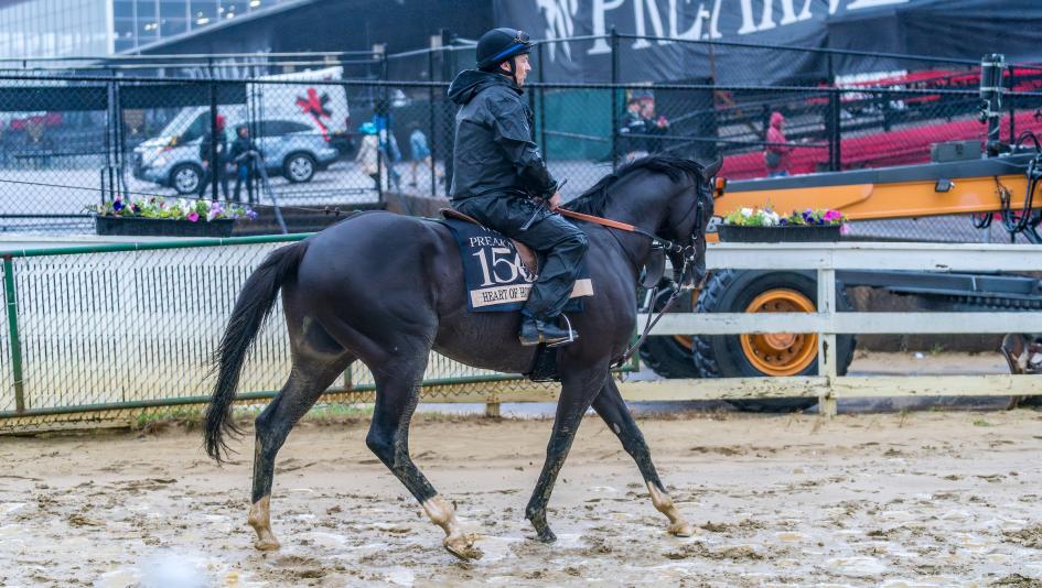 SecretariatsWld's tweet photo. In today’s Ten Furlongs Highlights: After a rough Preakness start, Jamie Osborne puts Heart of Honor through gate drills at Saratoga.🏇✨

🤔 Will improved focus at the start rewrite his Belmont story?
📰 Find out here: https://t.co/grU5eJLa4W

#HeartofHonor #JamieOsborne #News https://t.co/B5H5zWhcOe