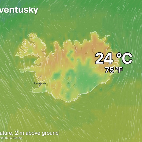 ECOWARRIORSS's tweet photo. Its hell in Iran and many other parts of Asia
Europe too is heating up and parts of Texas last week was hotter than Death Valley
UK worst drought on record
Iceland up to 24 °C  recently 
Our #climate is rapidly collapsing 
Whilst all media talks about is Trump Trump https://t.co/8kkm9r8Tz6