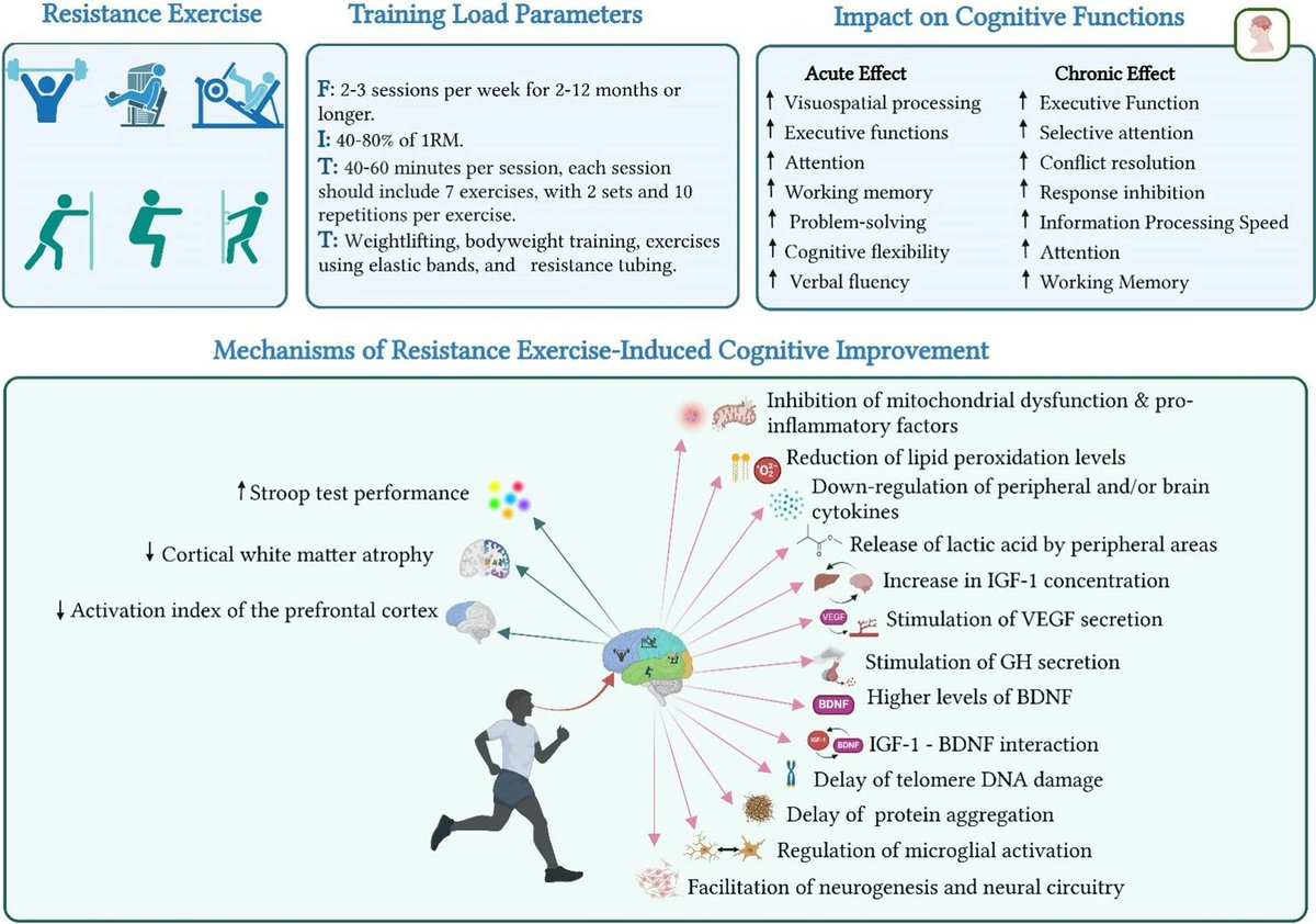 Nicholas Fabiano, MD tweet media