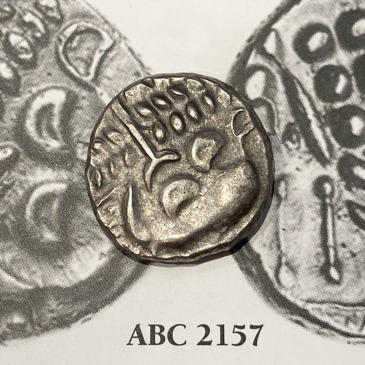 Next week, another wonderful hoard! The Cranborne Hoard of Iron Age silver staters. This hoard has been, and continues to be, a truly fascinating study into this series ✨
