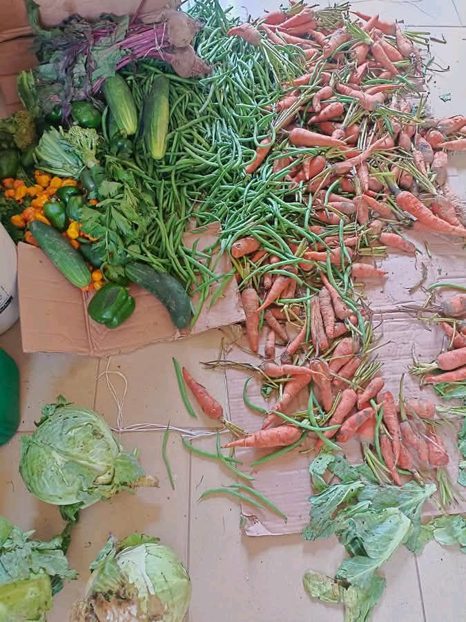 Favvymarc's tweet photo. @yhemolee_ I need to go to market on Monday Sir I have been waiting for your message the 300k will go a long way for me. I will pay my bills and debts. I have been struggling since I took the loan.   Please I am following you and I have post notification on#UsainBoltByKwate https://t.co/urgadiATeR
