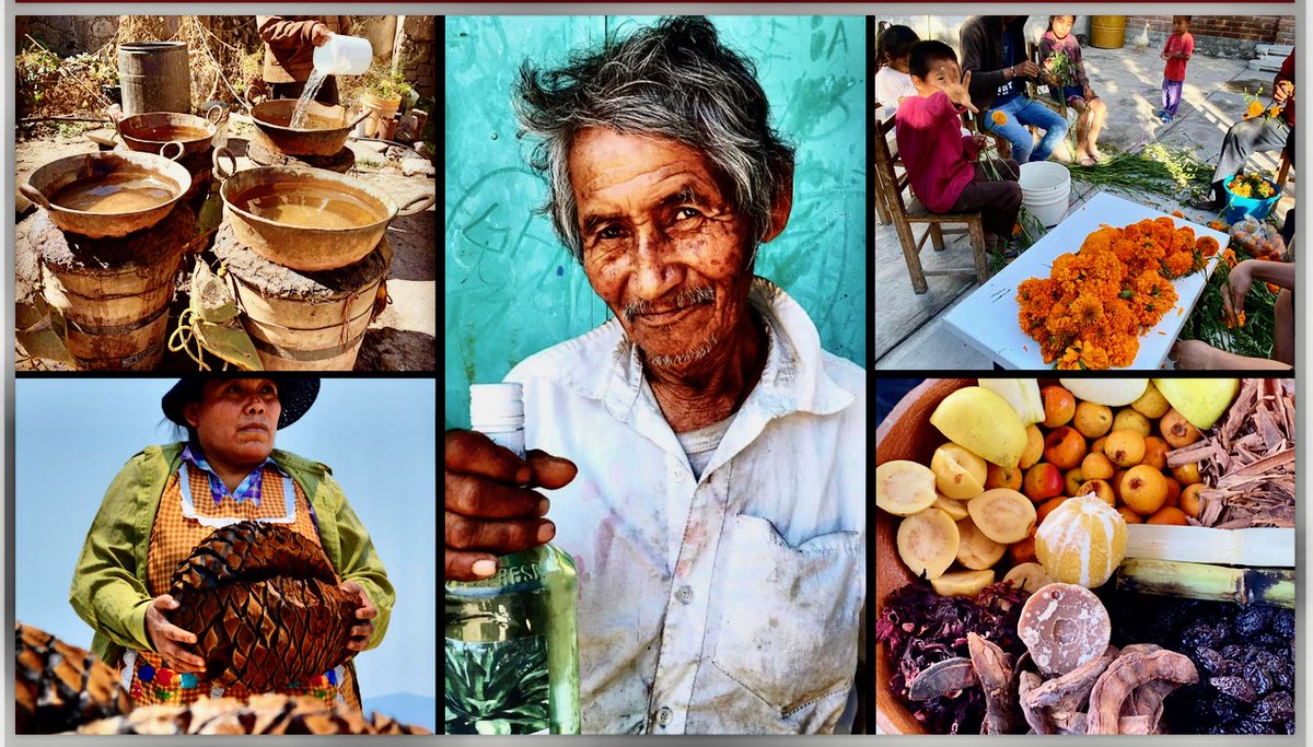 We are back! Neu - Mezcales von NETA &amp; Alma Mezcalera
Ab sofort werden alle Bestellungen täglich versendet. (Werktage)
Bodega heute, 23.5.2025 ab 16 Uhr für Tasting, Apéro, Beratung oder Geschenks-Tipp geöffnet.
Wir freuen uns auf Euch.
See you soon!