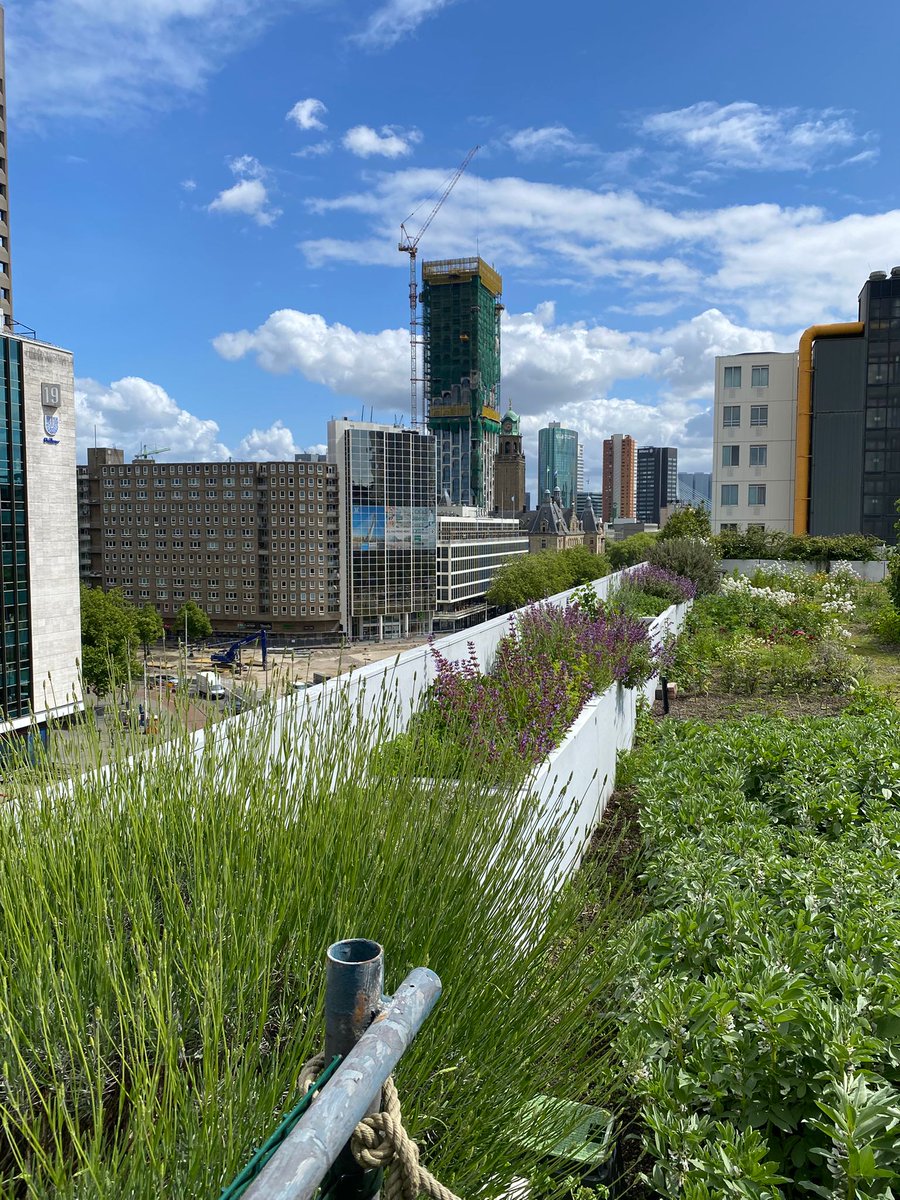 DakAkkers tweet media