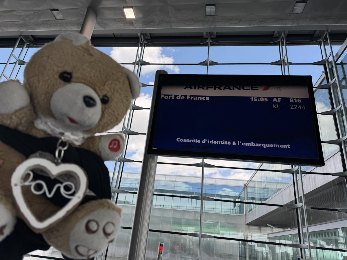 Dauvers70's tweet photo. Flying #BBTed ✈️
(Et c’est pas des vacances, un plantigrade n’en prend pas 🤣) https://t.co/hSHgSs0QIa