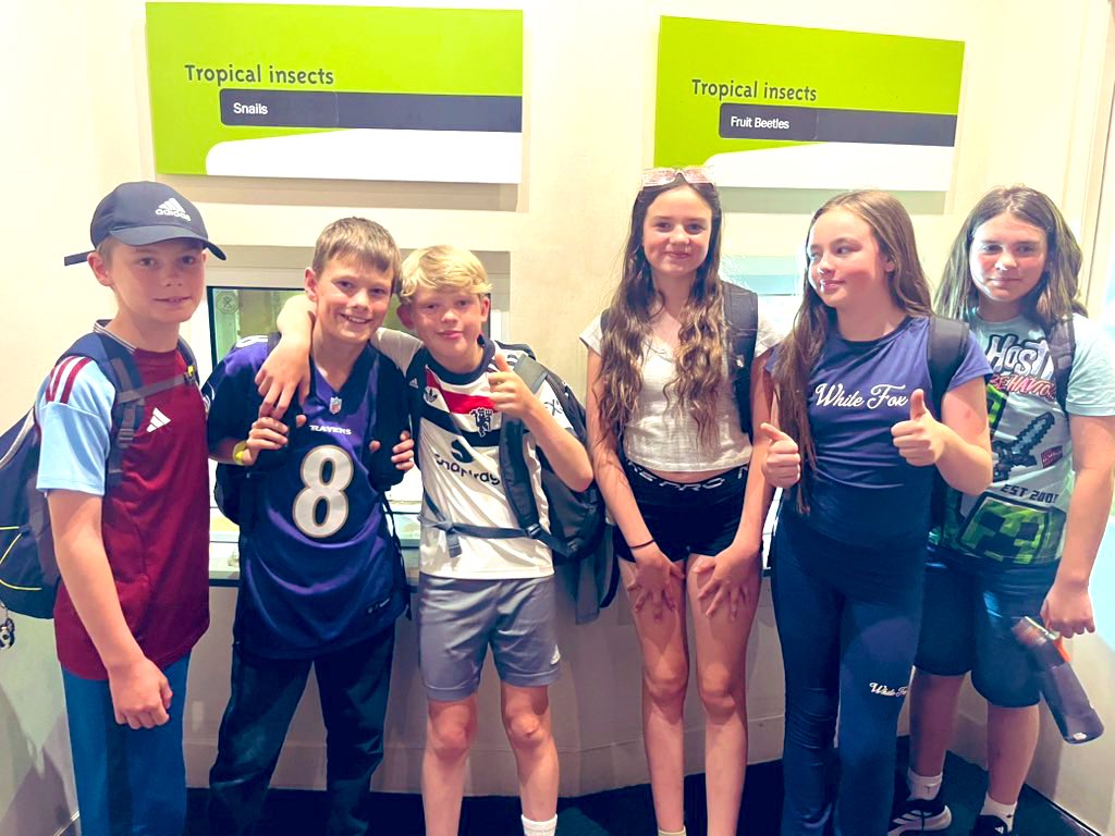 AKS Nursery and Preparatory School tweet media