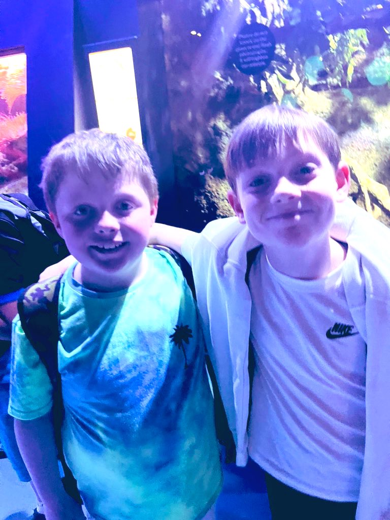 AKS Nursery and Preparatory School tweet media