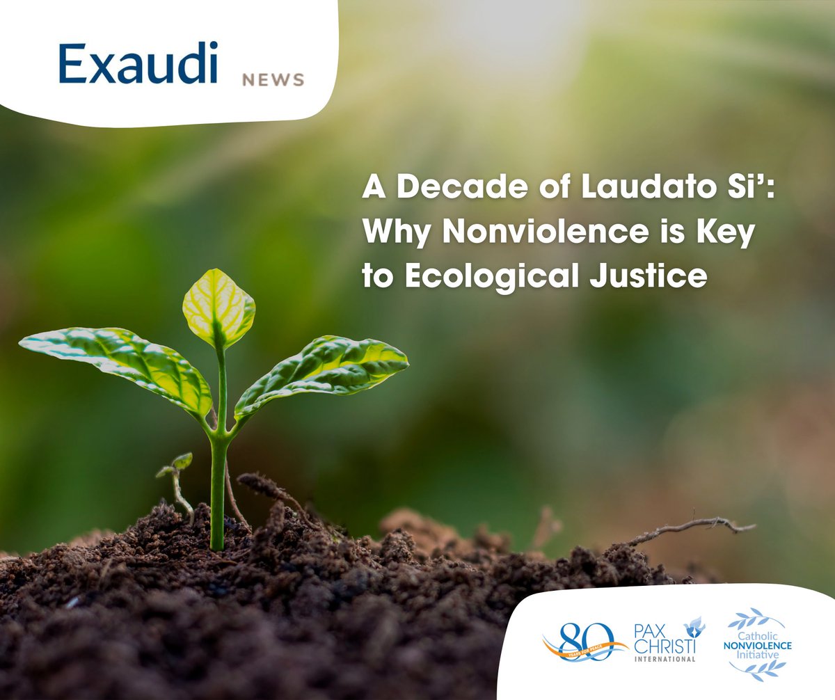 🌿 Why #Nonviolence is Key to #EcologicalJustice

10 years after #LaudatoSi’, our SecGen Martha Inés Romero reflects on the link between nonviolence and care for creation in <a href="/Exaudi_News/">Exaudi</a>.
Read the article and explore our related publication on our website: paxchristi.net/why-nonviolenc…