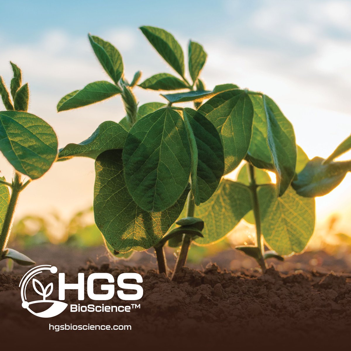 HGSBioScience tweet media