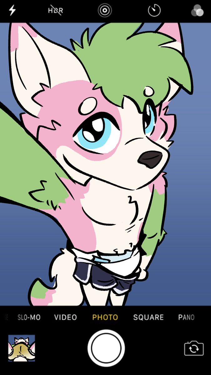 BethaPup's tweet photo. Selfie :3

Interest? Maybe just $15 👉👈 https://t.co/sAoswJ6s7V