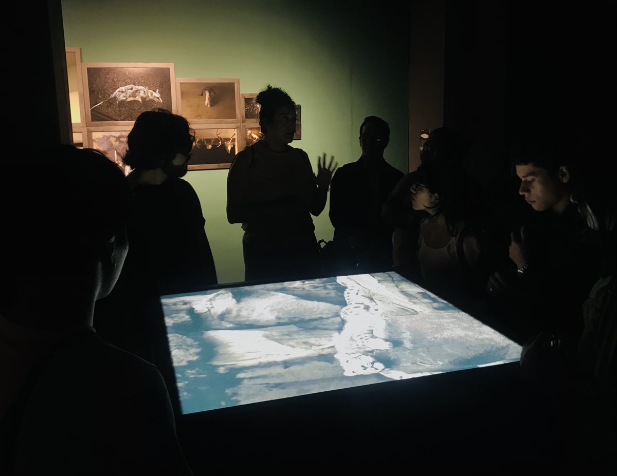 The Animal Human Project 🐺 
Con mi clase de Ecología y Arte asistimos a la increíble expo de María Gabriela Portaluppi.