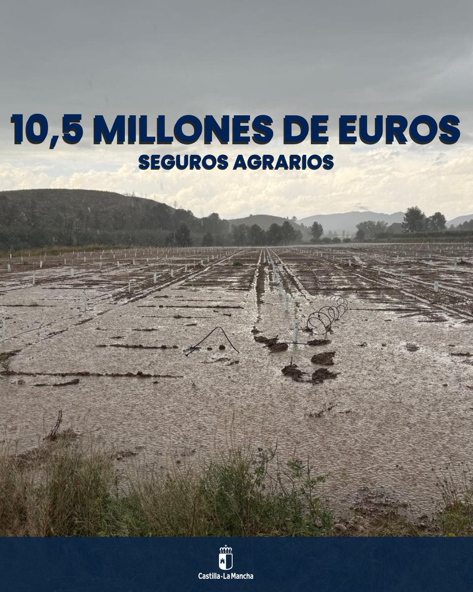 🚜 Convocatoria de ayudas para seguros agrarios 👇 

‼️ 10,5 millones de euros ‼️ 

👍 Será aprobada en el próximo Consejo de Gobierno

▶️ Desde 2015 se han destinado más de 55 millones a esta línea de ayudas.

ℹ️ castillalamancha.es/node/402272

#CLM