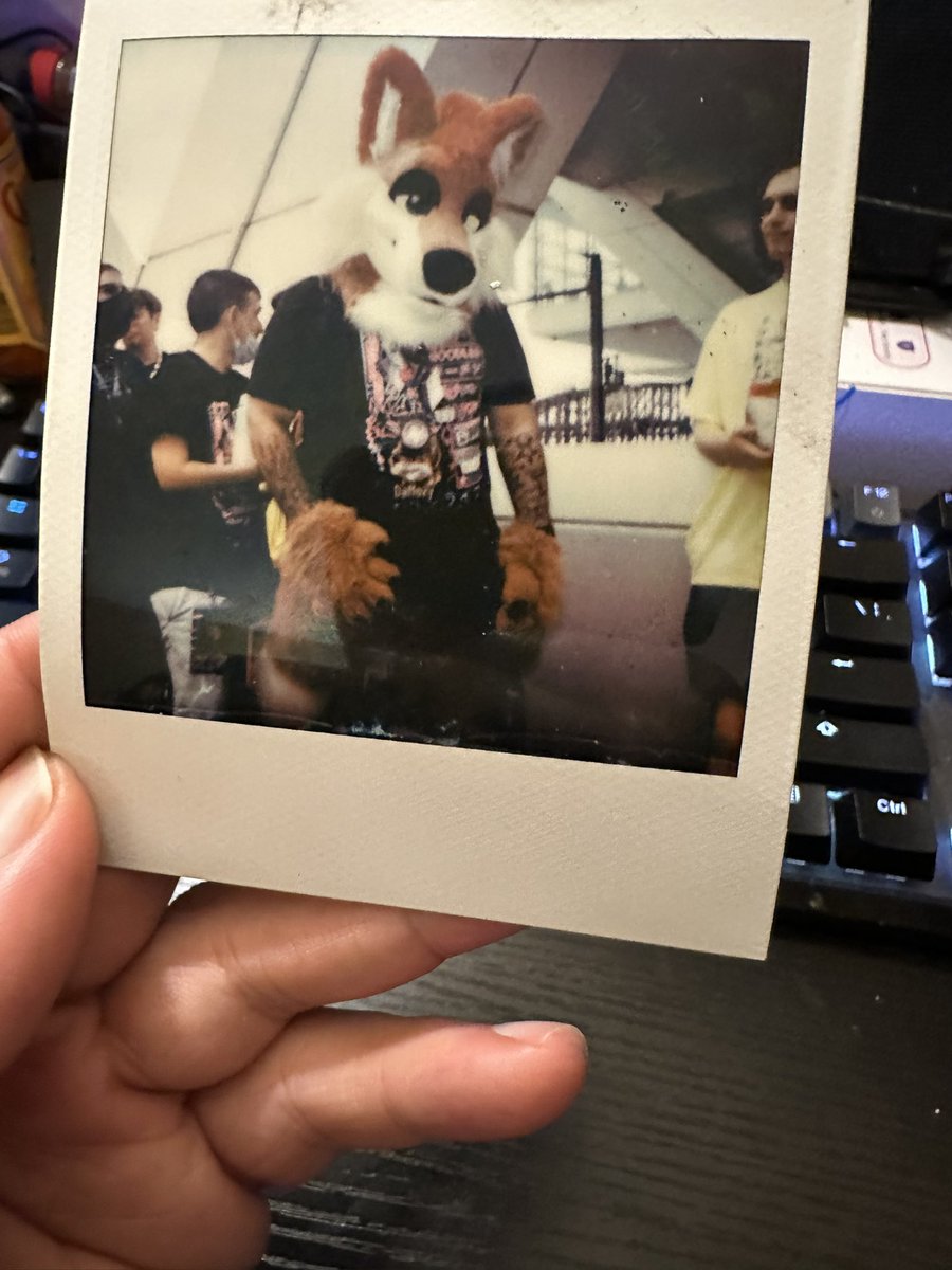 Dafopsy's tweet photo. Polaroid pic are just so cool!π€©#FursuitFriday #AC24 #Furries #Foxes
πͺ‘ - @SewingStuffs https://t.co/0F3RCdzj2T