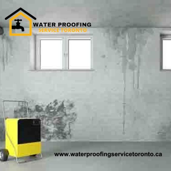 waterproofing_7's tweet photo. *Wet Basement Repair Service in Toronto*

A wet basement is a serious problem that can lead to extensive damage to your home. 
#waterproofingservices #basementservices #waterproofing #basement #basements #basementremodel #basementbar #toronto
https://t.co/6zqQJZI64g https://t.co/xt6k0tg22U